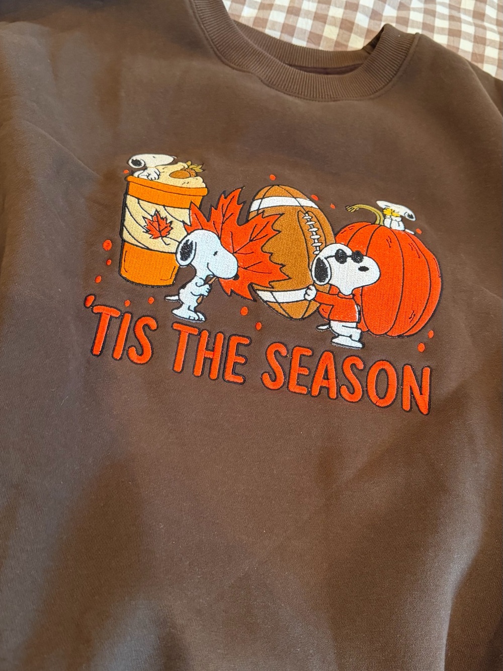 Snoopy Fall Sweatshirt - Picture 2 of 3